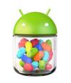 Google Nexus with Jelly Bean